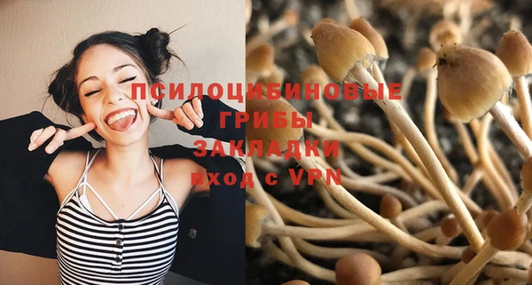 мет Аркадак