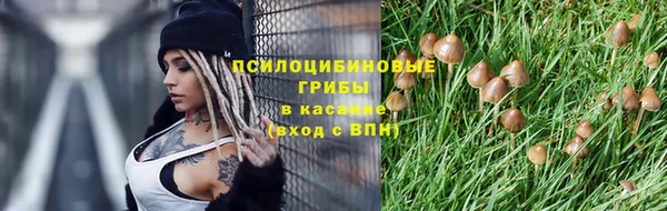 прущие крисы Армянск