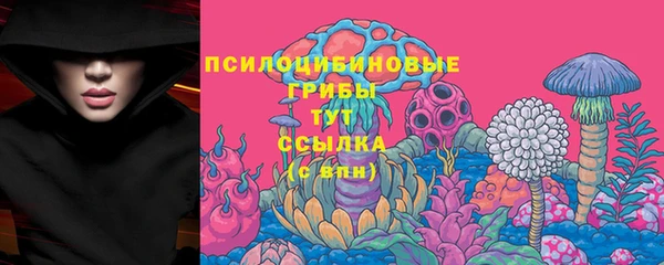сатива Арсеньев