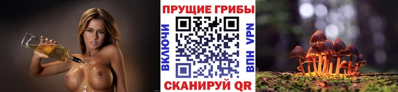 где найти наркотики  Макарьев  Галлюциногенные грибы мицелий 